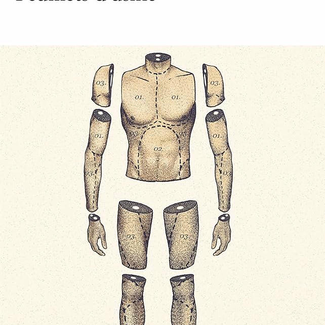 Su sfondo bianco opaco, puntinato di rosa in modo granulare, si staglia l'immagine disegnata di un corpo umano maschile tagliato in sezioni all'altezza delle articolazioni. Una linea tratteggiata con dei numeri attraversa le varie parti del corpo. Manca il bacino e la testa. In basso a destra, in carattere eleganti, in nero, la scritta "folio" tutta in minuscolo.